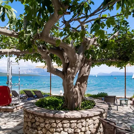 M5 ゲストハウス ニキアナ